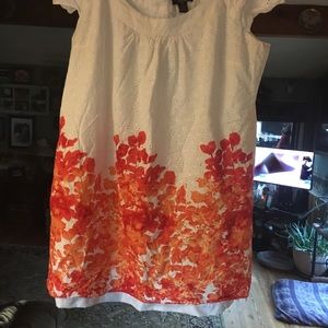 Signature by Robbie Bee size 20 dress